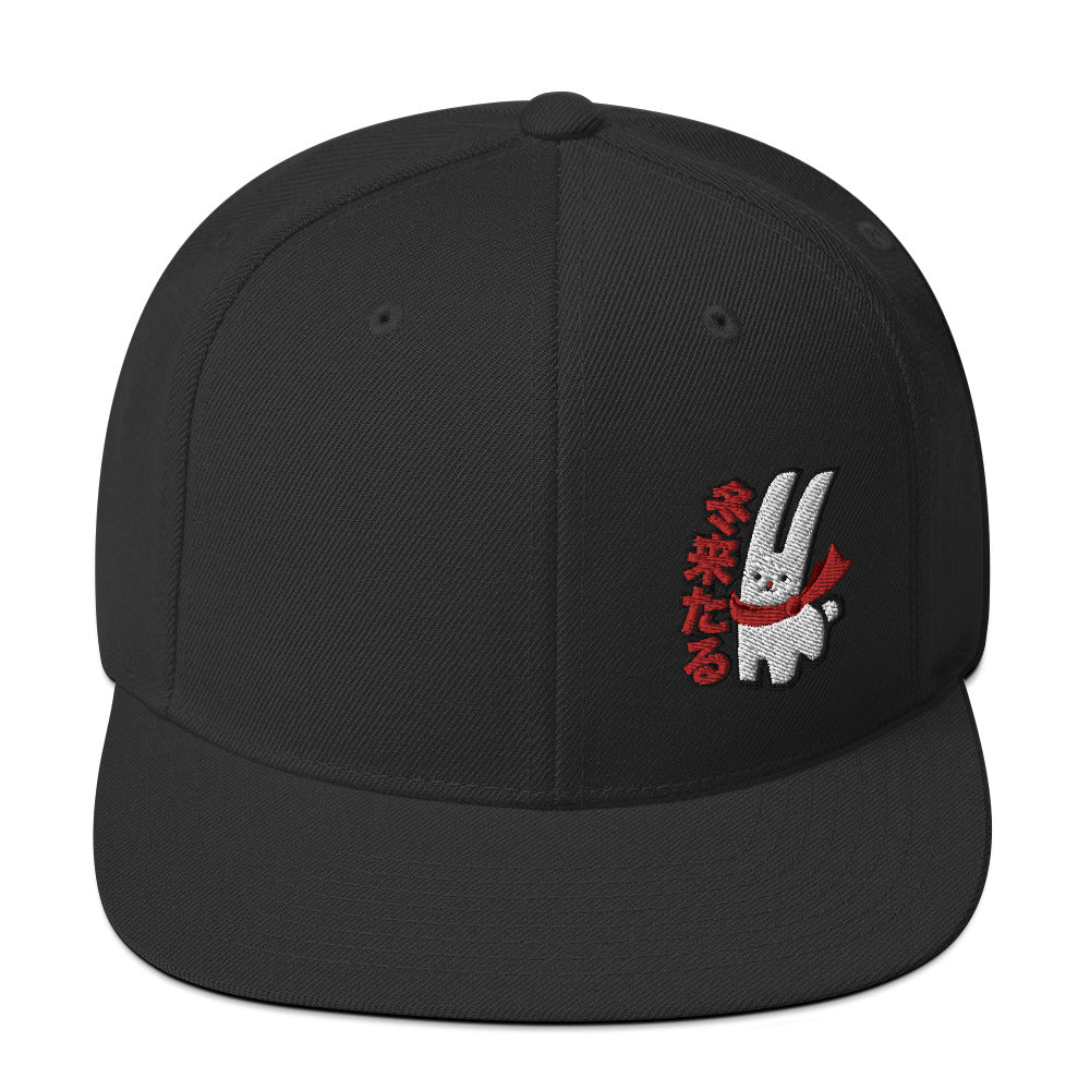 Karma Ace: Winter is Coming - Snapback Hat